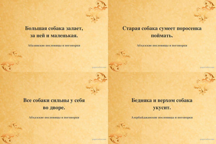 Пословицы про собаку