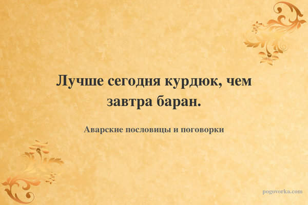 Лучше сегодня курдюк, чем завтра баран.