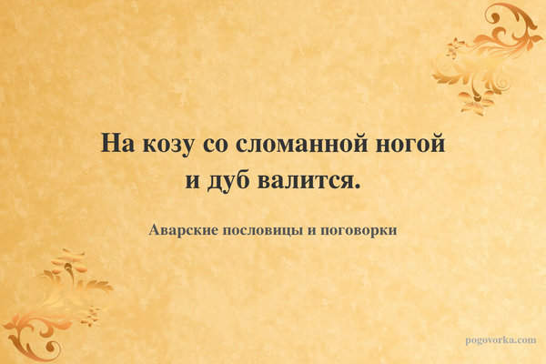 На козу со сломанной ногой и дуб валится.