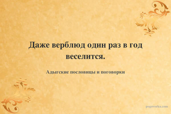 Даже верблюд один раз в год веселится.
