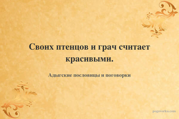 Своих птенцов и грач считает красивыми.