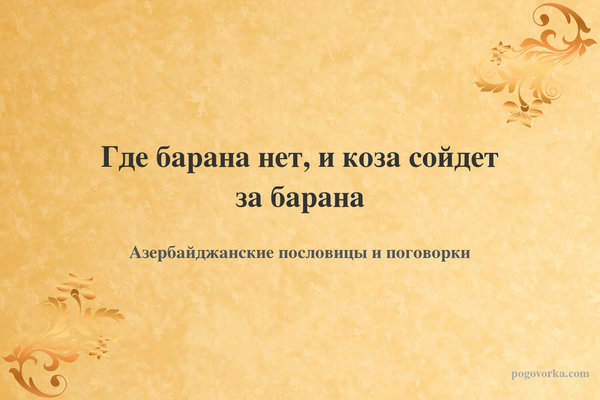 Где барана нет, и коза сойдет за барана
