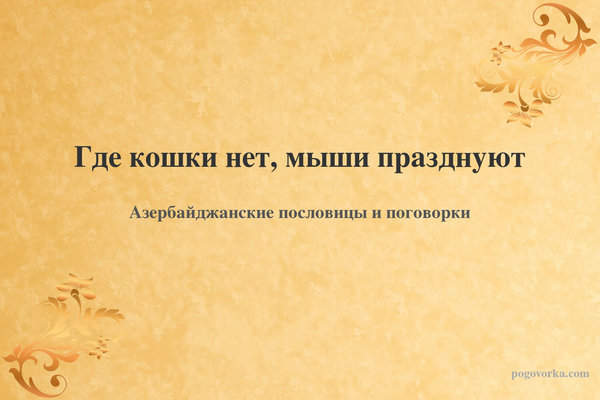 Где кошки нет, мыши празднуют