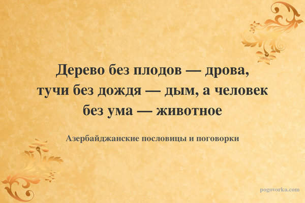 Дерево без плодов — дрова, тучи без дождя — дым, а человек без ума — животное