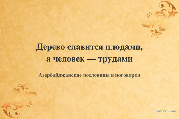 Дерево славится плодами, а человек — трудами