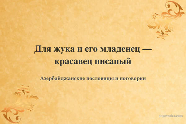 Для жука и его младенец — красавец писаный