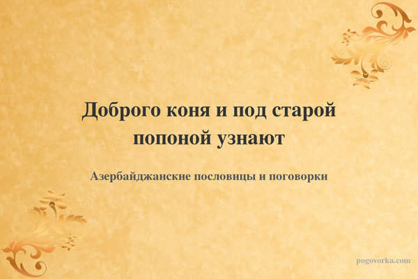 Доброго коня и под старой попоной узнают