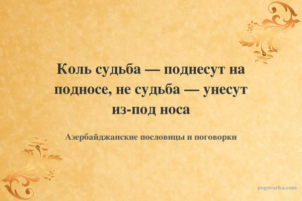 Коль судьба — поднесут на подносе, не судьба — унесут из-под носа