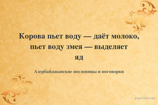 Корова пьет воду — даёт молоко, пьет воду змея — выделяет яд