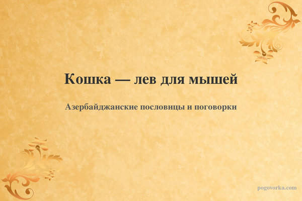 Кошка — лев для мышей