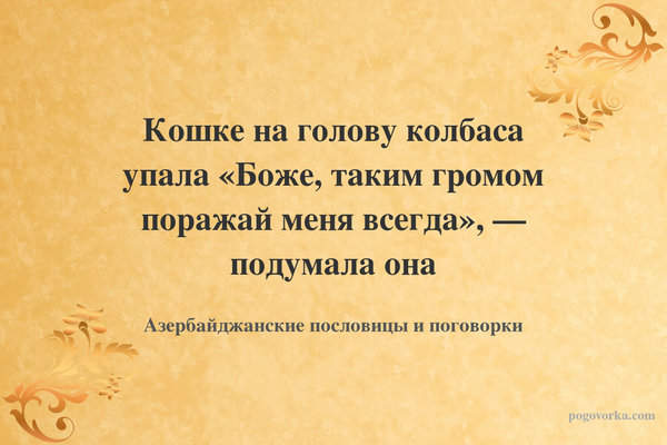 Кошке на голову колбаса упала «Боже, таким громом поражай меня всегда», — подумала она