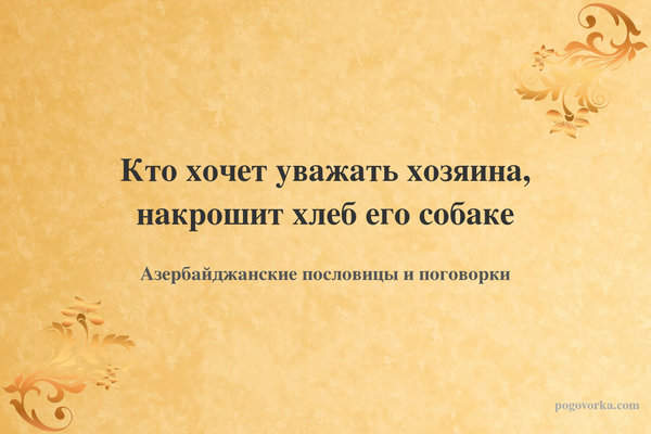 Кто хочет уважать хозяина, накрошит хлеб его собаке