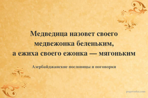 Медведица назовет своего медвежонка беленьким, а ежиха своего ежонка — мягоньким