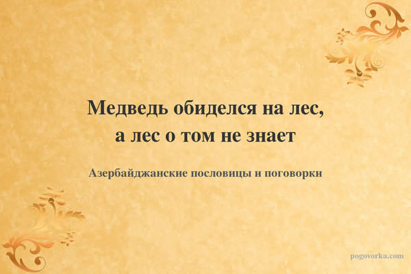 Медведь обиделся на лес, а лес о том не знает