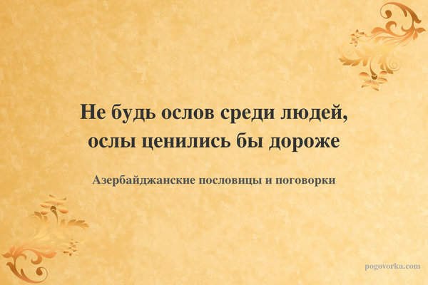 Не будь ослов среди людей, ослы ценились бы дороже