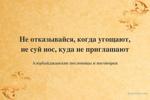 Не отказывайся, когда угощают, не суй нос, куда не приглашают