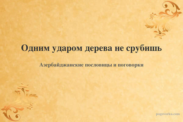 Одним ударом дерева не срубишь