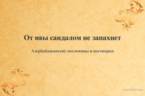 От ивы сандалом не запахнет