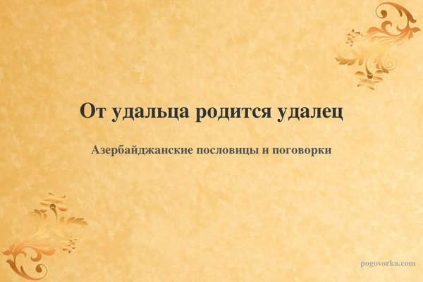 От удальца родится удалец