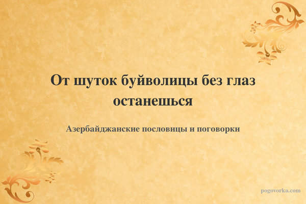 От шуток буйволицы без глаз останешься