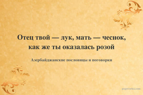 Отец твой — лук, мать — чеснок, как же ты оказалась розой