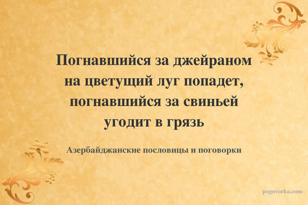 Погнавшийся за джейраном на цветущий луг попадет, погнавшийся за свиньей угодит в грязь