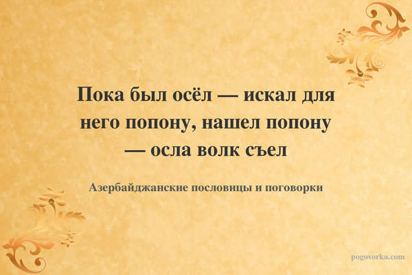 Пока был осёл — искал для него попону, нашел попону — осла волк съел