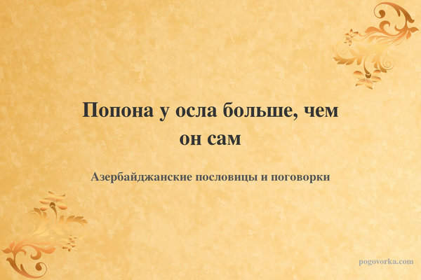 Попона у осла больше, чем он сам
