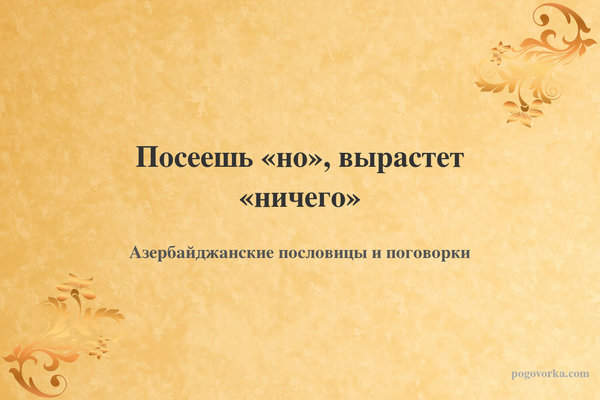 Посеешь «но», вырастет «ничего»