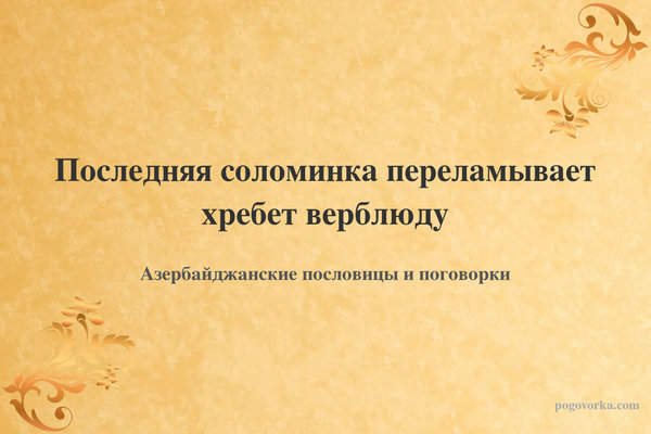 Последняя соломинка переламывает хребет верблюду