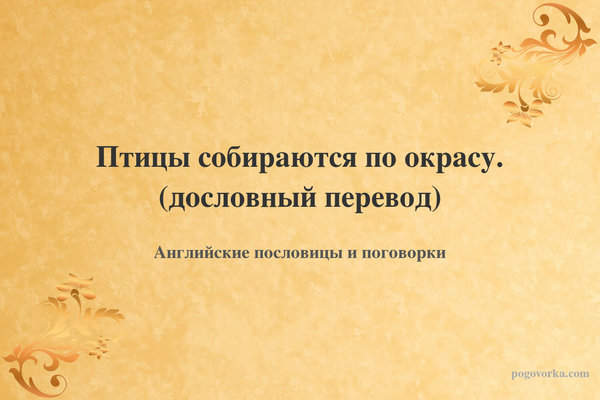 Птицы собираются по окрасу. (дословный перевод)