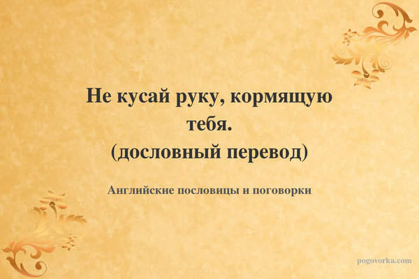 Не кусай руку, кормящую тебя. (дословный перевод)