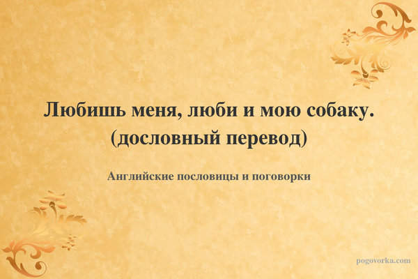 Любишь меня, люби и мою собаку. (дословный перевод)