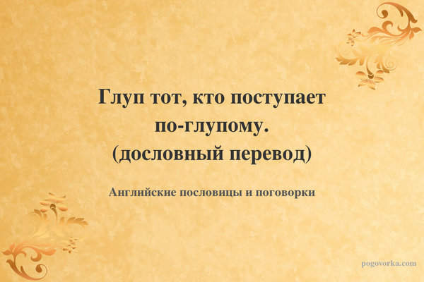 Глуп тот, кто поступает по-глупому. (дословный перевод)