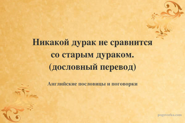 Никакой дурак не сравнится со старым дураком. (дословный перевод)
