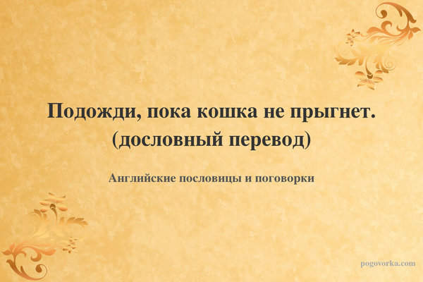 Подожди, пока кошка не прыгнет. (дословный перевод)