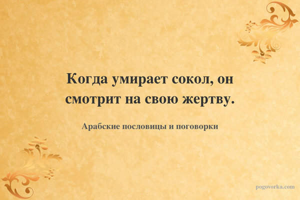 Когда умирает сокол, он смотрит на свою жертву.