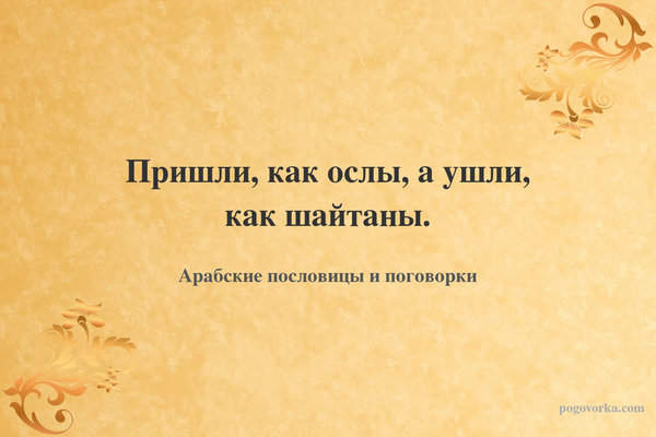 Пришли, как ослы, а ушли, как шайтаны.