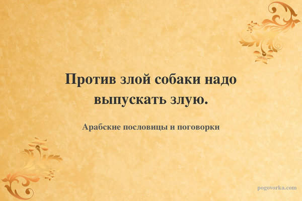 Против злой собаки надо выпускать злую.