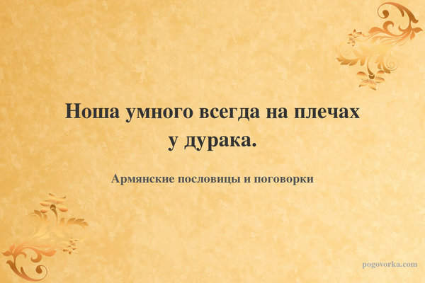Ноша умного всегда на плечах у дурака.