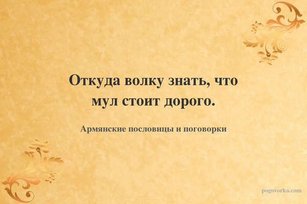 Откуда волку знать, что мул стоит дорого.