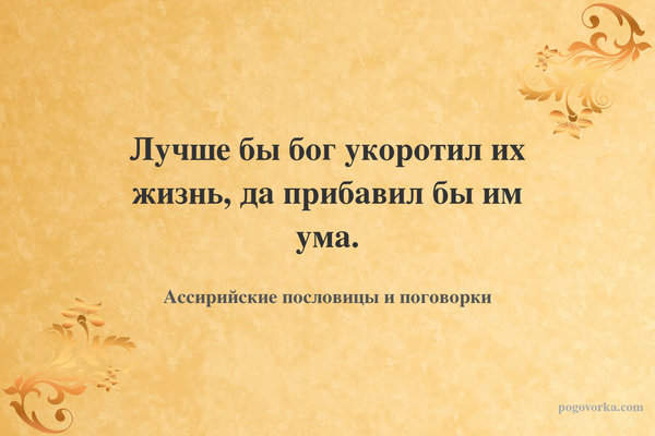 Лучше бы бог укоротил их жизнь, да прибавил бы им ума.