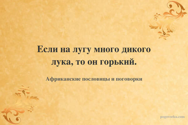Если на лугу много дикого лука, то он горький.