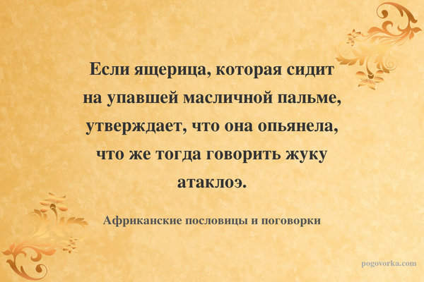 Если ящерица, которая сидит на упавшей масличной пальме, утверждает, что она опьянела, что же тогда говорить жуку атаклоэ.