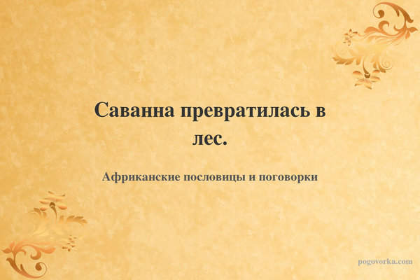 Саванна превратилась в лес.