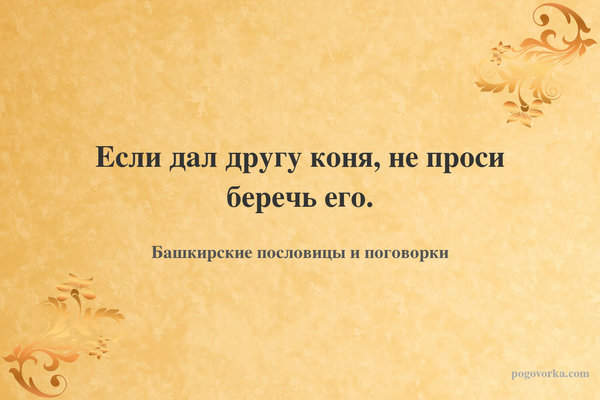 Если дал другу коня, не проси беречь его.
