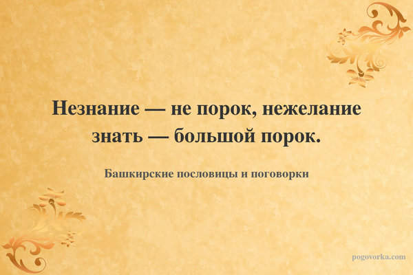 Незнание — не порок, нежелание знать — большой порок.
