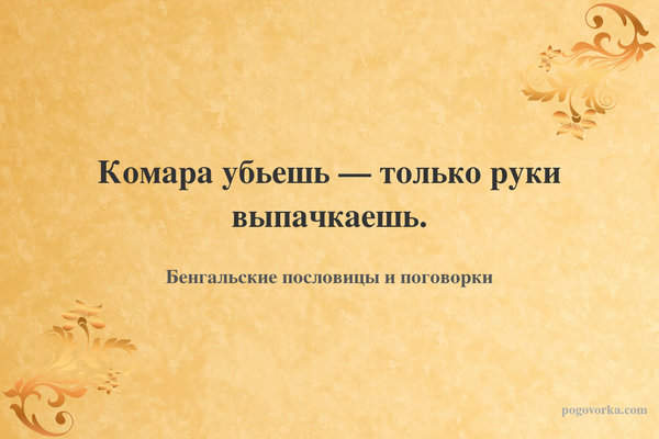 Комара убьешь — только руки выпачкаешь.