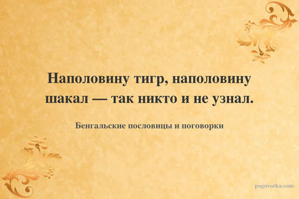 Наполовину тигр, наполовину шакал — так никто и не узнал.