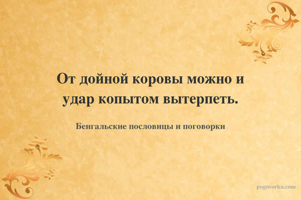 От дойной коровы можно и удар копытом вытерпеть.
